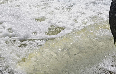 企業(yè)超標(biāo)排放嚴(yán)重 將罰款60萬(wàn)元