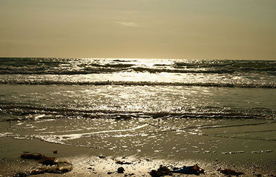 2020年污水處理行業發展趨勢、現狀及前景分析