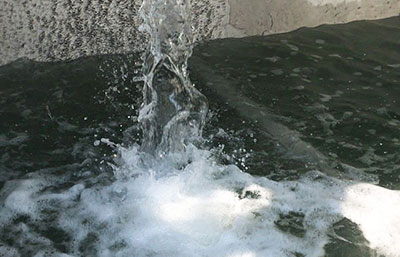 制藥廢水深度處理工藝技術分析