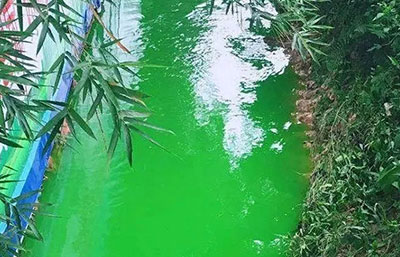 觸目驚心！水全都“染綠”了！多家企業被查處