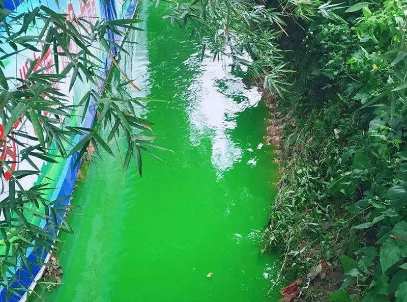觸目驚心！水全都“染綠”了！多家企業被查處！